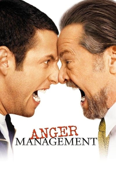 Anger Management (2003) สูตรเด็ด เพชฌฆาตความเครียด